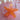 Perfect mermaid costume accessory a coral colored starfish hairclip