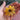 Vibrant sunflower hairclip unique hair accessory for spring summer or any season