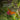A square garden photograph featuring an orange Gulf fritillary butterfly perched on a pink flower, surrounded by green foliage. The image has a decorative gold border and white text overlay that reads, 'Inspired by the beautiful Gulf Fritillary butterflies that visit my garden.